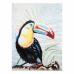 Paveikslas Alexandra House Living Toucan Drobė Eglės mediena 120 x 3 x 90 cm