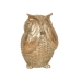 Decorative Figure Romimex Champagne Resin Owl 11 x 15 x 10 cm