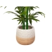 Planter Romimex Beige Keramikk 20 x 18 x 20 cm