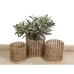 Set of Planters Romimex Natural (3 Pieces)