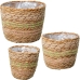 Conjunto de vasos Alexandra House Living Castanho Rotim Fibra natural 3 Peças