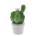 Figură Decorativă Alexandra House Living Ceramică Cactus