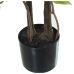 Pianta Decorativa Alexandra House Living Plastica Ficus 18 x 22 x 162 cm