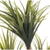 Plante décorative Alexandra House Living Plastique Dracaena 15 x 27 x 121 cm