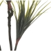 Plante décorative Alexandra House Living Plastique Dracaena 15 x 27 x 121 cm