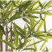 Decorative Plant Alexandra House Living Plastic Bamboo 15 x 15 x 162 cm