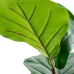 Plante décorative Alexandra House Living Plastique Ficus 90 cm