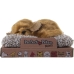 Knuffel met Geluid Alexandra House Living Multicolour Hond 16 x 2 x 14 cm Mini