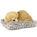 Knuffel met Geluid Alexandra House Living Grijs Hond 14 x 6 x 13 cm Mini