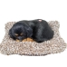 Knuffel met Geluid Alexandra House Living Grijs Hond 14 x 6 x 13 cm