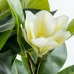 Decoratieve plant Alexandra House Living Plastic Magnolia 100 cm