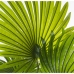 Decoratieve plant Alexandra House Living Plastic Palmboom 180 cm