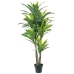 Decoratieve plant Alexandra House Living Plastic Dracaena 160 cm