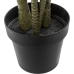 Plante décorative Alexandra House Living Plastique Dracaena 160 cm