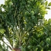 Decoratieve plant Alexandra House Living Plastic Meloen 110 cm