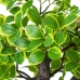 Decorative Plant Alexandra House Living Plastic Euonymus 45 cm