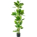 Decoratieve plant Alexandra House Living Plastic 160 cm