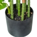 Decoratieve plant Alexandra House Living Plastic 160 cm