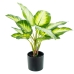 Dekorativ växt Alexandra House Living Plast Aglaonema 50 cm