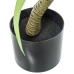 Plante décorative Alexandra House Living Plastique yucca 70 cm