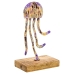 Figură Decorativă Alexandra House Living Metal Meduză 15 x 10 x 26 cm