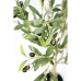 Decorative Tree Romimex Plastic Olive tree 60 x 80 x 60 cm