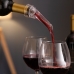 σετ από αξεσουάρ κρασιού Vino Servin InnovaGoods 5 Τεμάχια