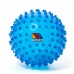 Pelota sensorial Moltó 20 cm Azul