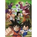 Puzzel Educa Dragon Ball