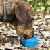 2-in-1 fles met water en voederbakken voor huisdieren Pettap InnovaGoods