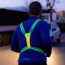 Sports Harness with LED Lights Lurunned InnovaGoods