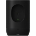 Portable Speaker Sonos Black