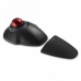 Schnurlose Mouse Kensington Schwarz 1600 dpi