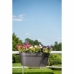 Selvvandende planter Garden ID