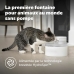 Fontana per Animali Domestici PetSafe Bianco