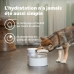 Pet Water Fountain PetSafe White