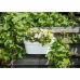 Selvvandende planter Garden ID Hvid