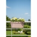 Självvattnande planter Garden ID Beige-brun (taupe)