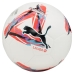 Fotbalový míč Puma ORBITA LALIGA 1 084287 01 Bílý