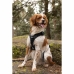 Dog Harness SYMBIOZ Black M