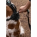 Dog Harness SYMBIOZ Black S