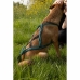 Hundesele Olympia XXS