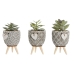 Decoratieve plant Home ESPRIT Polyethyleen Cement 9,5 x 9,5 x 12 cm (3 Stuks)