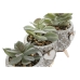 Decoratieve plant Home ESPRIT Polyethyleen Cement 9,5 x 9,5 x 12 cm (3 Stuks)