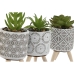 Decoratieve plant Home ESPRIT Polyethyleen Cement 6,5 x 6,5 x 11 cm (3 Stuks)