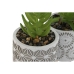 Decoratieve plant Home ESPRIT Polyethyleen Cement 6,5 x 6,5 x 11 cm (3 Stuks)