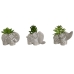 Decoratieve plant Home ESPRIT Polyethyleen Cement 8 x 5 x 7 cm (3 Stuks)