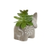 Decoratieve plant Home ESPRIT Polyethyleen Cement 8 x 5 x 7 cm (3 Stuks)