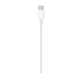 Câble USB-C Apple MUF72ZM/A Blanc 1 m