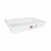 Balde Dem Bob Branco 8,6 L 50 x 34 x 8 cm (12 Unidades)